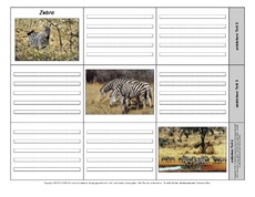 Leporello-Zebra-1-1-2.pdf